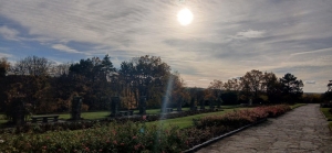 Media-2025-11-09T135515.737