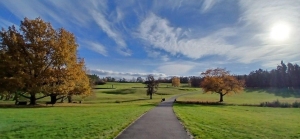 Media-2025-11-09T135526.914