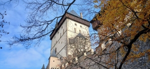 Media-2025-11-09T135537.294