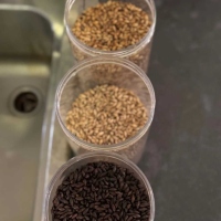 601351123_18061170455639950_5603102039058710020_n