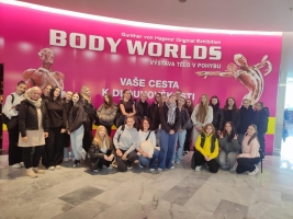 Media-2025-11-02T213539.440