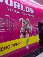 Media-2025-11-02T213541.801