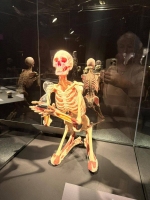 Media-2025-11-02T213544.361