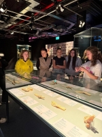 Media-2025-11-02T213546.645