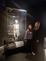 Media-2025-11-02T213606.666