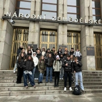 Media-2025-12-09T163514.789