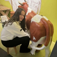 Media-2025-12-09T163521.017